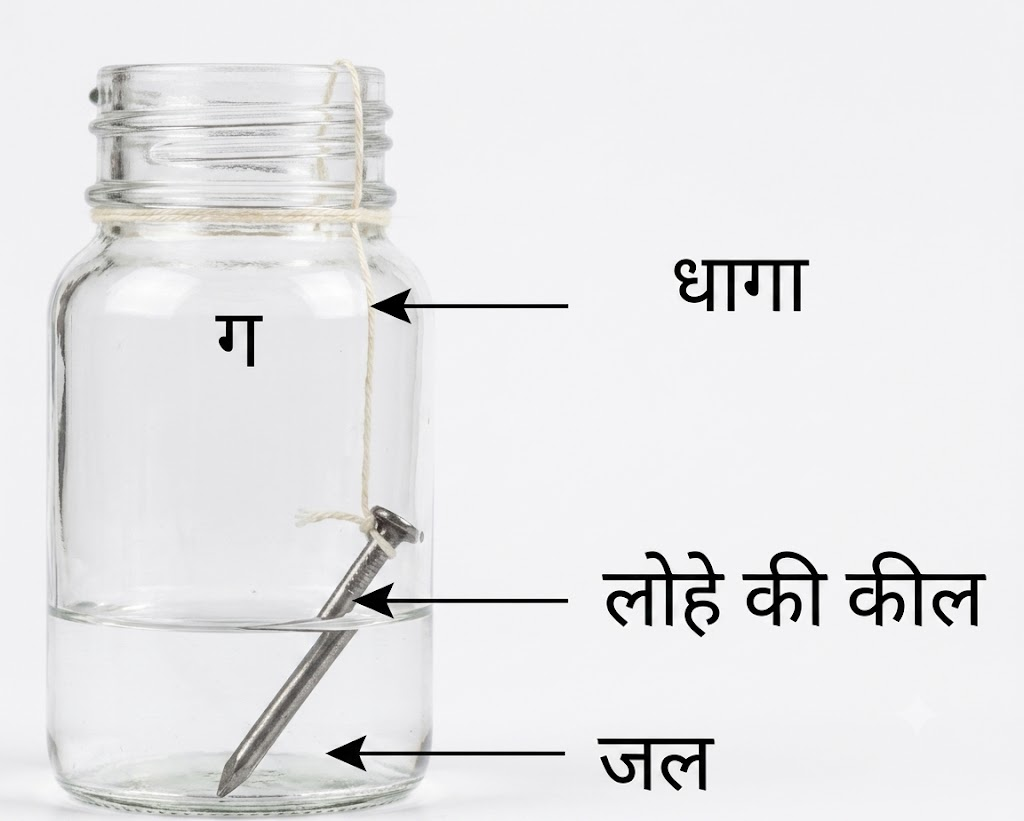 NCERT Notes Class 7 Science Chapter 4: The World of Metals and Non-metals
