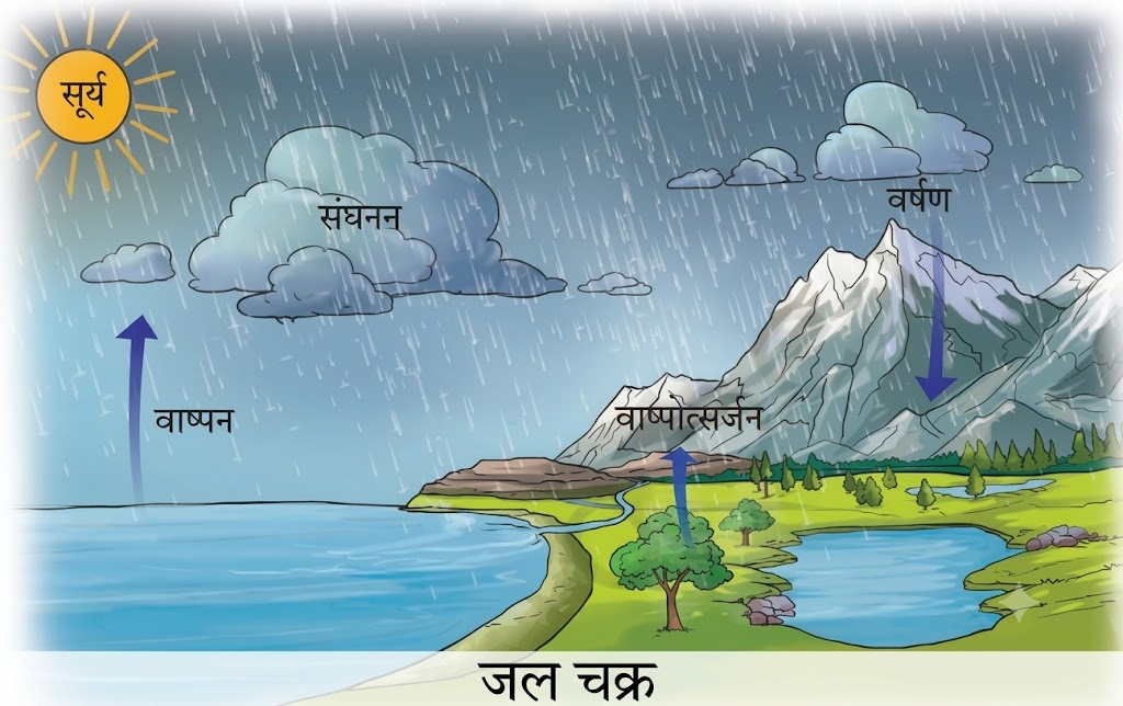 NCERT Notes Class 7 Science Chapter 7: Heat Transfer in Nature